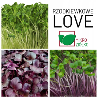 MICROCHIP - RADISH BALK - LOVE - 6 SET