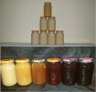 RAPESEED HONEY 1,2kg 0,9l od Podkarpacie! 2020 EKO