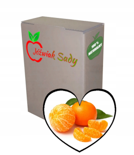 Mandarin Juice s mandarínmi 100% NFC 5L