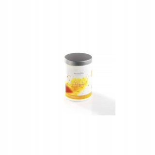 Mango - prášok, mango prášok prášok 045003