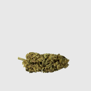 CBD - Mary Jane | 25g Cannabis sucho CBD 11,7% plesňovým syrom