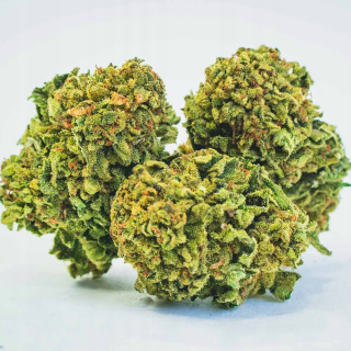 CBD - Mary Jane | 2G Cannabis Susz CBD 12,9% Lemon Haze