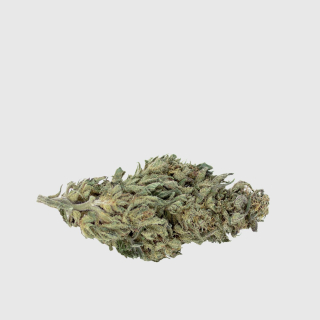 CBD - Mary Jane | 5G Cannabis sucho CBD 11,4% White Widow