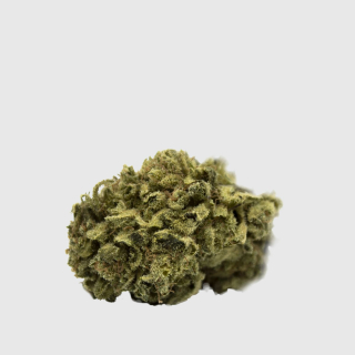 CBD - Mary Jane | 5G Cannabis Susz CBD 12,4% NYC Diesel