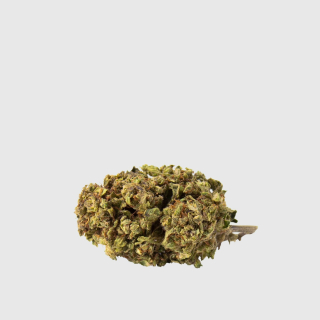 CBD - Mary Jane | 5 g konope sušeného CBD 12,5% jahody