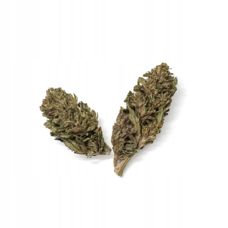 CBD - Mary Jane | 5 gramov konope Susz CBD 8% Budha Cherry