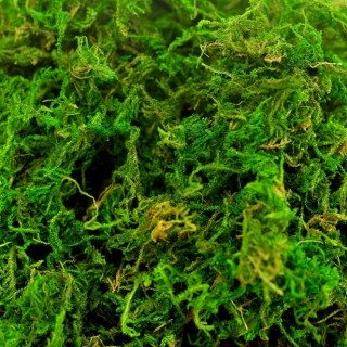 Veľkonočná dekorácia - Moss Natural Decoration Decotion Veľkonočná hlava