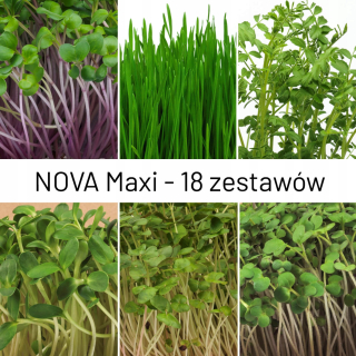 MICROCHIP - NOVA MAXI BALK - 18 SET