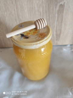 Slnečnicový med 1,2 kg z kašubského 12 pohárov