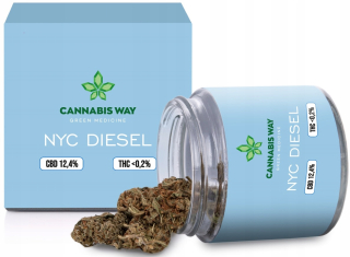 CBD - NYC Diesel 12,4% CBD Marihuana Cannabis Sativa