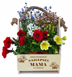 Flower Flowers Flower Flower Day Mom S Rytec