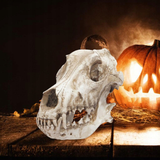 Halloween - Moderná lebka, akvárium akváriu