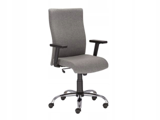 Nový štýl stoličky William R Steel, Grey EF031
