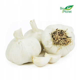 Kolektívne balenie (kg) - čerstvý bio cesnak (oko
