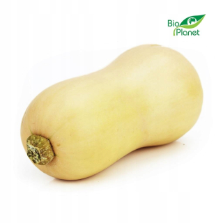 Hromadné balenie (kg) - pižmo pumpkin (butternu