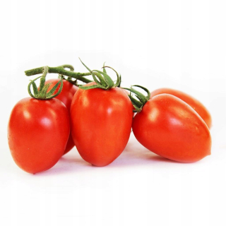 Kolektívne obaly (kg) - DASTRATINE TOMATOES