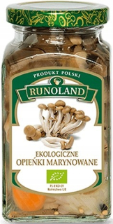 Odliatky Marinované BIO 300 G - Rutoroland