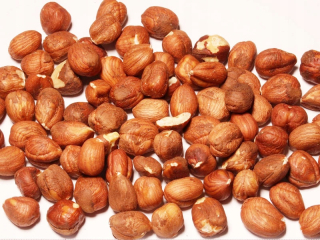 Orechy - Hazelničky Shell 25 kg Stick NUTS