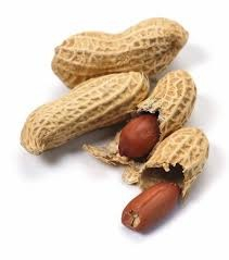 Orechy - Arašidy sušené v škrupine Fistaszki 5 kg t