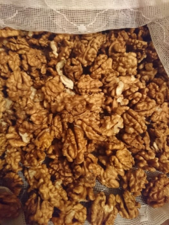 Orechy - Vlašské orechy z pohoria Bieszczady EKOLOGICKÉ 2-kg 2020