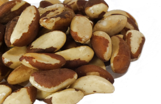 Orechy - Brazílske orechy 500g Veľké Paka z SKWORCU