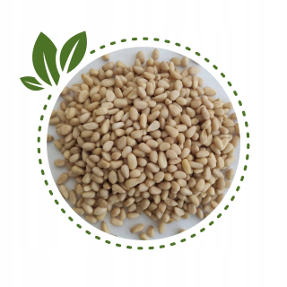 Orechy - PIN NUTS 250G