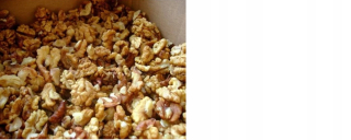 Orechy - Vlašské orechy 1 kg - Kolekcia 2020 - čerstvé