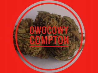 CBD - Ovocný "Compton" CBD 17% Susz 5G