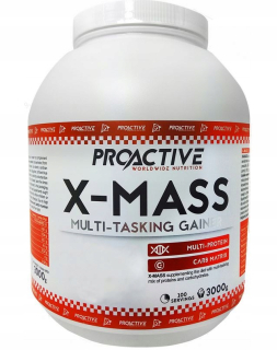 Gainer - PA X-Mass Mass Gainer 3000g Build Mega Mass Flat!