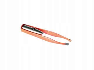 Peseta s LED svetlo Torch LIGHTING