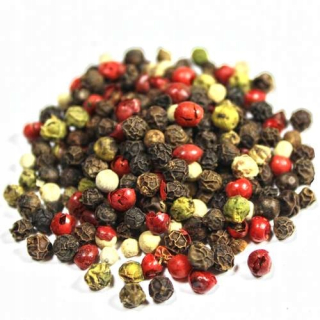 Pepper farebné semeno 1kg čerstvé s plantáciou