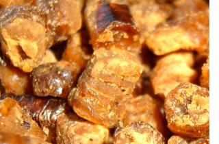 Pierzga Bee 1KG s 2020R - veľmi čerstvé