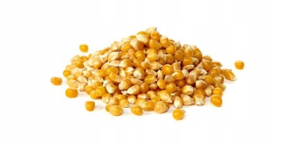 Popcorn kukurica na pečenie zrna bez soli 5kg