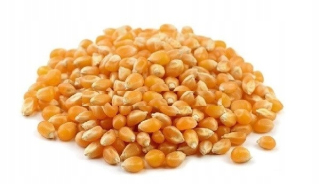 Popcorn kukuričný zrno 5 kg