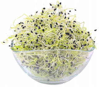 Pán - semená na klíčkoch 500g