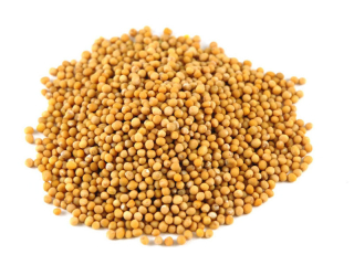 BIELE KORENIE BIELE CELÝ 10 KG 1 DRUH