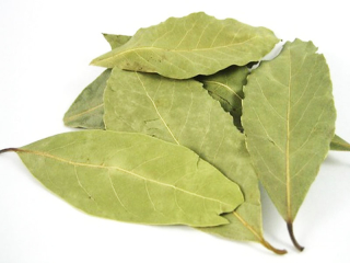 Spice Laurel list Celé korenie 1 kg Lodž