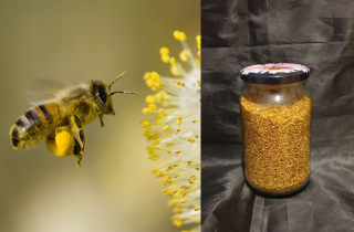 Bee Floral Peľ 1kg 1000G EKO Podkarpackie