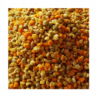Bee Pollen 2021 Barć Mazowiecka 1kg