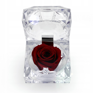 Darček na Valentína - Eternal Rose Comfortc 25 cm