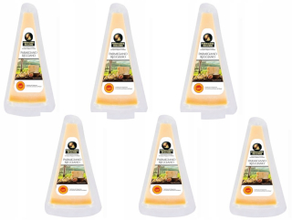 Parmigiano Reggiano 6 PCS.PO 100G. Parmezán