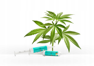 CBD - CBD CO2 RAW vložiť 30% 10 g Cannabis originálov