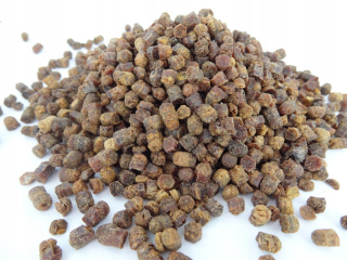 FOCUS BEE 1KG ORIGINAL A REAL 100%