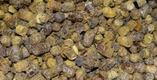Konečná včela 500 g s Guławy posilňuje imunitu