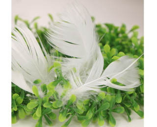 Veľkonočná dekorácia - Biele dekoratívne perie Dekoratívne spoločenstvo 12g