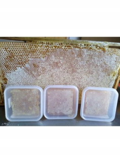 Rosemary Honeycomb - lepší ako manuka.leśny