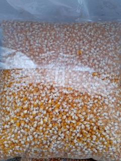 Popcorn Grain Corn 25kg Najlacnejšie