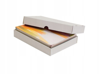 Presel kartón Aplikovaná 480x310x50mm Biela (Pack