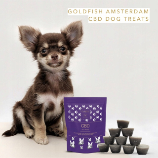 CBD - Psie pochúťky karmu s CBD Goldfish Amsterdam