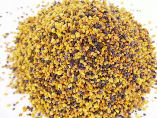 Bee Pollen Floral 5 kg z včelárskych veľkoobchodov